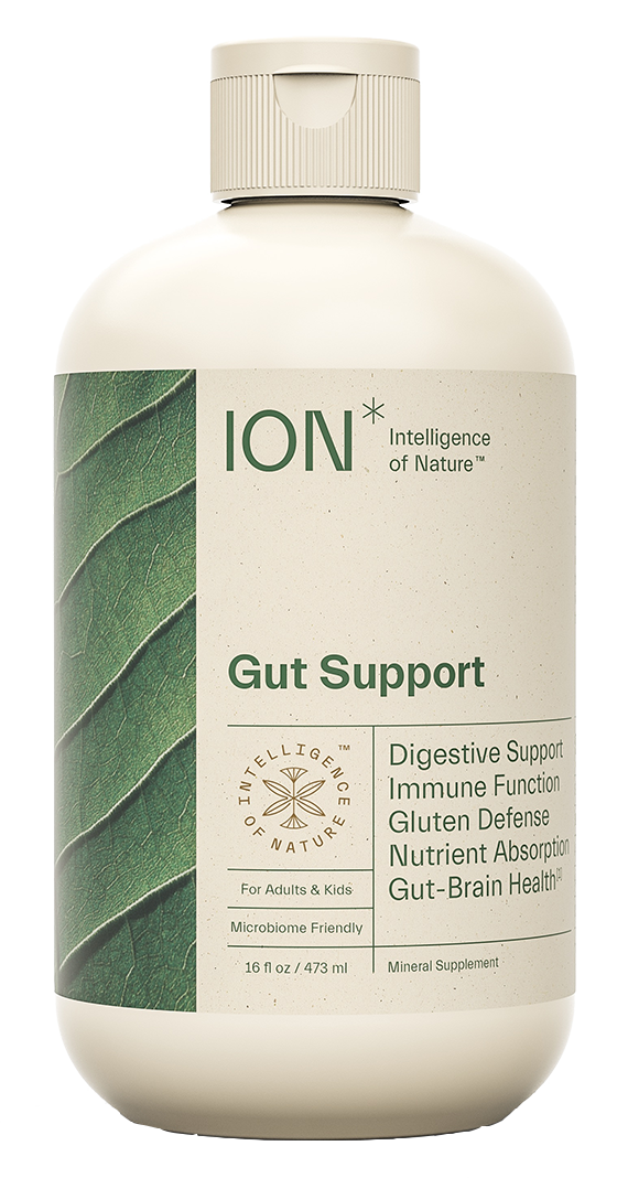 ION* Gut Support 16 fl oz