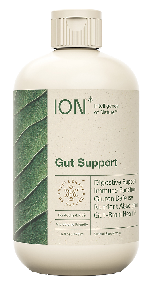 ION* Gut Support 16 fl oz